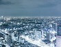 電力市場