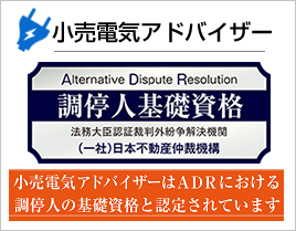 小売電気アドバイザー