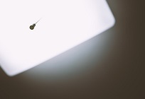 原発事故後の政府と企業・市民の節電対策についての写真