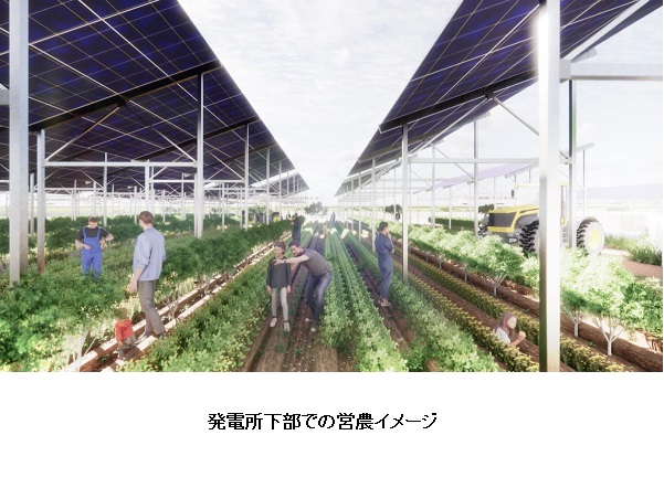 東急不動産、エクシオグループと埼玉県東松山市にソーラーシェア(営農型発電)を中心とした再生可能エネルギーの実証施設を建設の概要写真