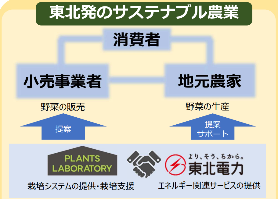 東北電力とヨークベニマルなど、植物工場栽培の野菜を販売の概要写真