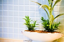 環境不動産とESG投資による新電力を活用したCSRの写真