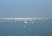 海洋エネルギーの可能性の写真