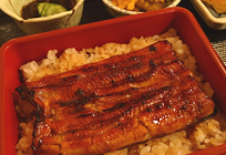 日本の食卓にウナギを完全に復活させるにはの写真
