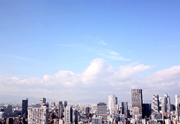 大気汚染されている地球の空の写真