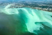 青潮の発生とその予防に向けての写真