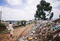 考えよう地球環境問題!広めようSDGs!の写真