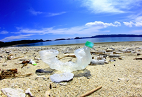 海のごみの写真