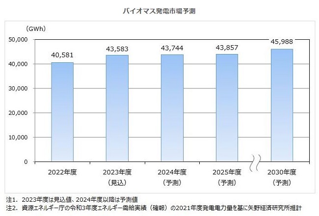 矢野経済研究所、バイオマスエネルギー市場に関する調査結果を発表の概要写真