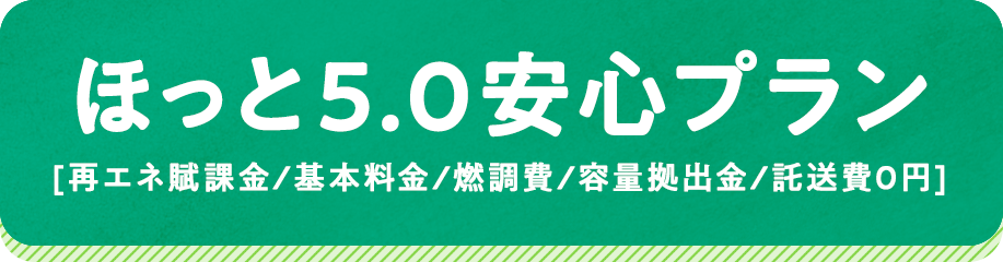 関東エリア限定！先着1000世帯！新電気料金メニューのご案内！電気代の高騰時にもほ～っと安心、変動なしの固定額！の概要写真