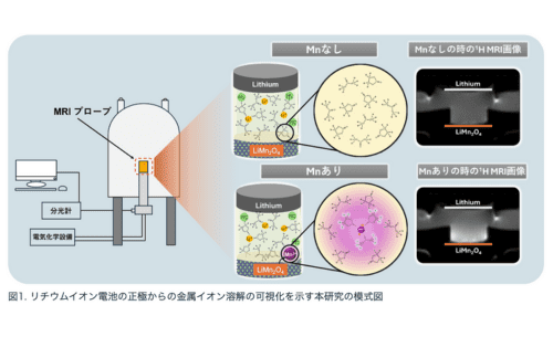 東北大、リチウムイオン電池電極からの金属溶出を可視化する技術を開発の概要写真