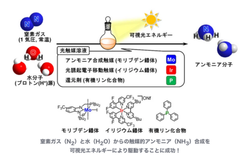 東大、窒素ガスと水からの触媒的アンモニア合成反応を可視光エネルギーにより駆動することに成功の概要写真