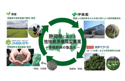 伊藤園・JAおおいがわ・ホテイフーズ、茶殻を肥料化し静岡県内の契約茶園で活用する地域資源循環型農業を開始の概要写真