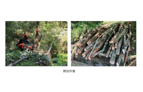 三井住友銀行、電力の地産地消を目的としたバイオマス発電由来の再生可能エネルギー導入について発表の概要写真